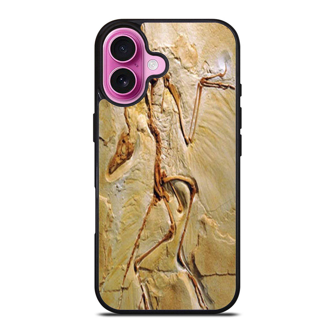 Archaeopteryx Fossil iPhone Case Cover