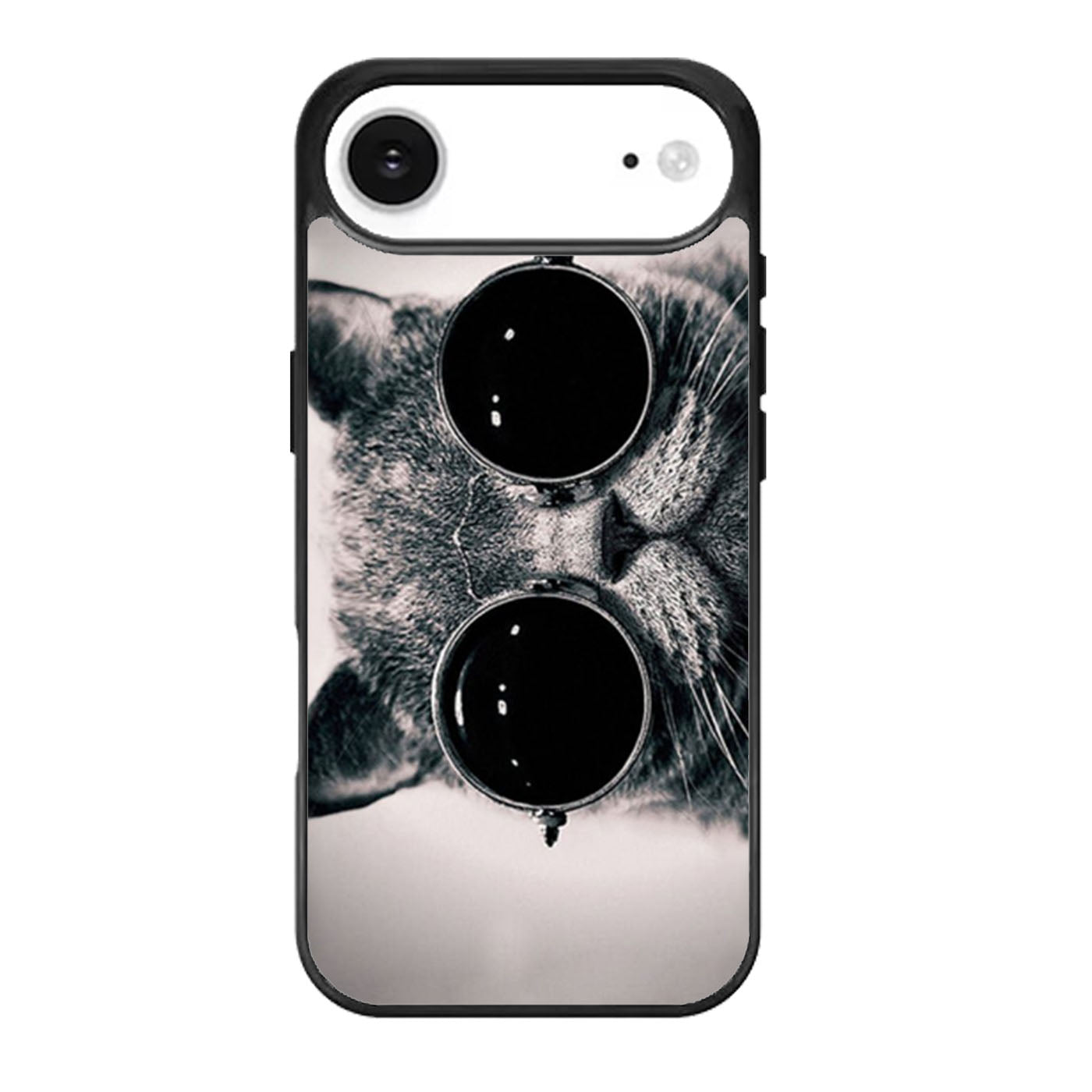 Cat With Sunglasses Two iPhone Air Case