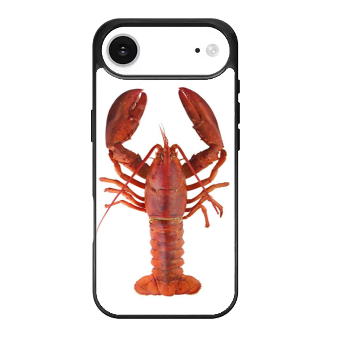 Lobster iPhone Air Case
