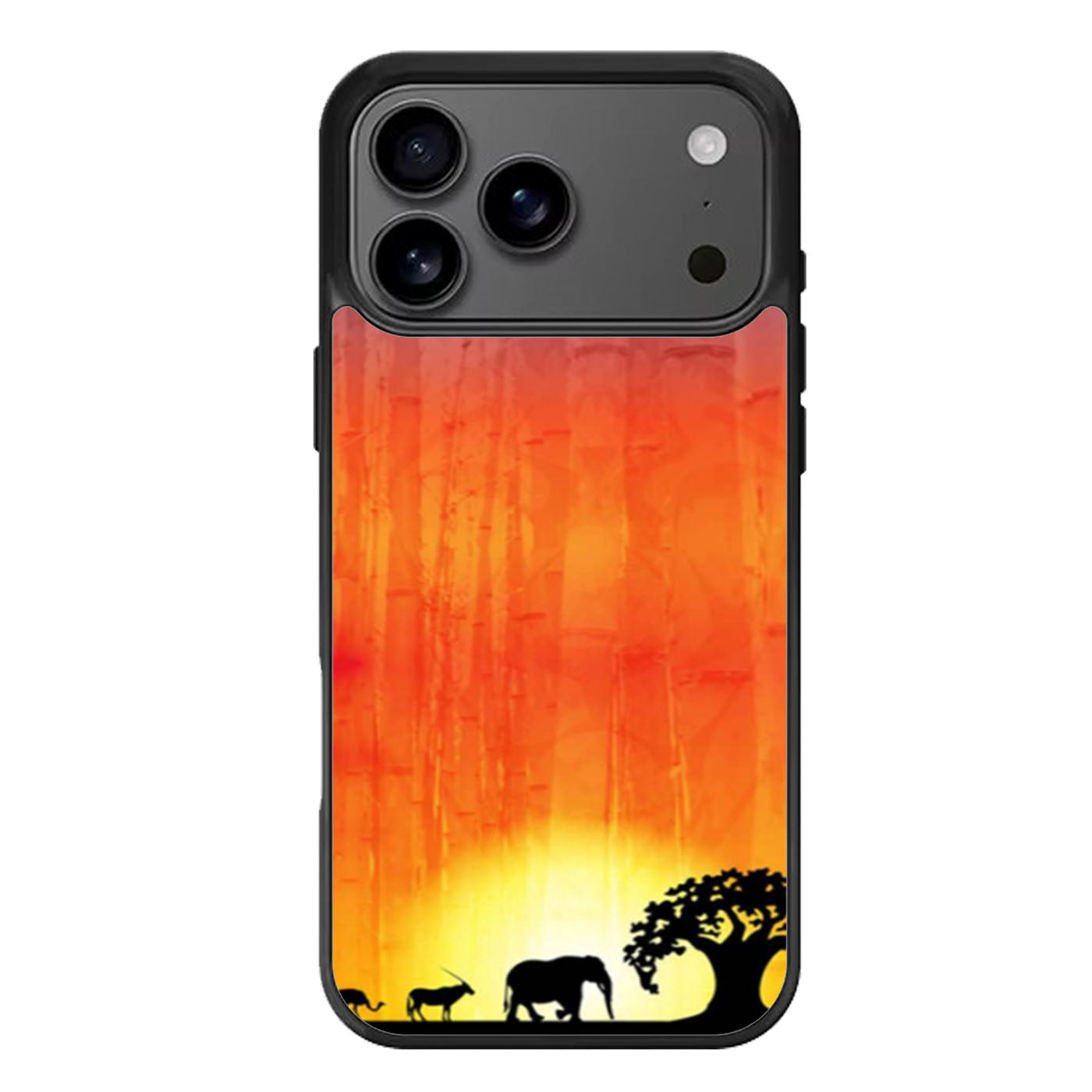 Sunset iPhone 17 Pro Max Case