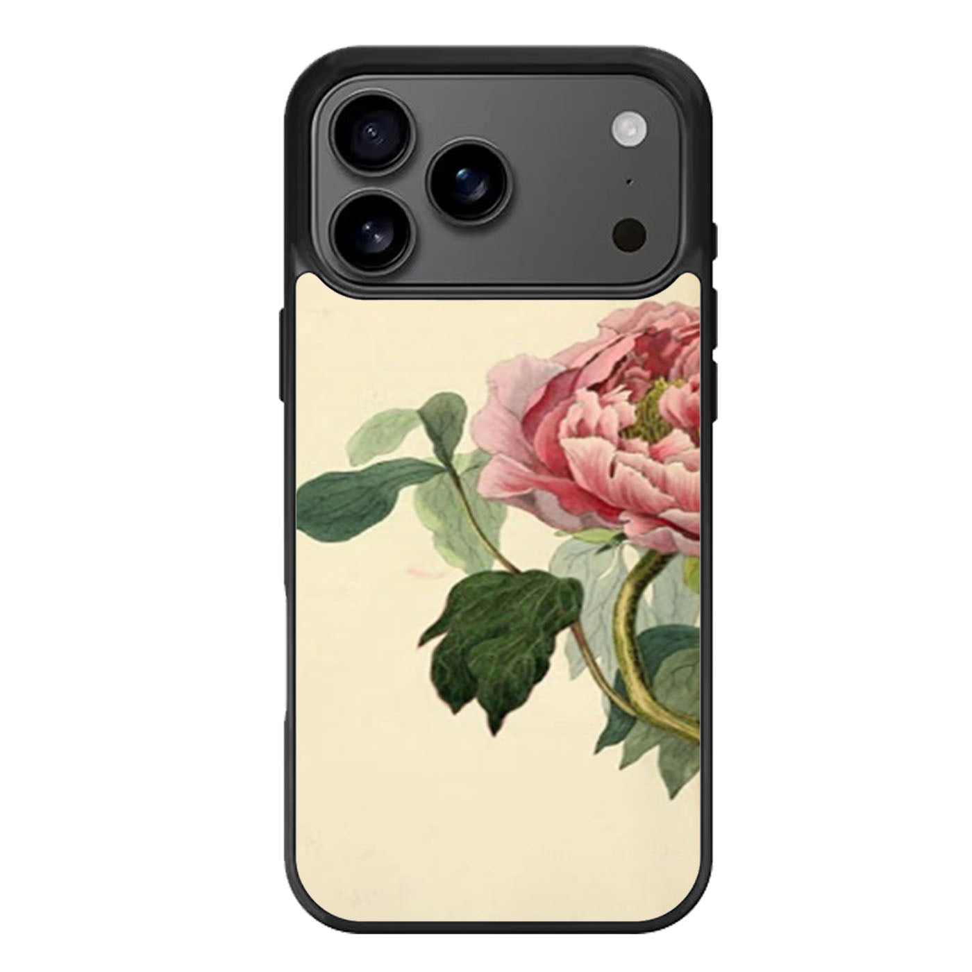 Vintage Botany iPhone 17 Pro Max Case