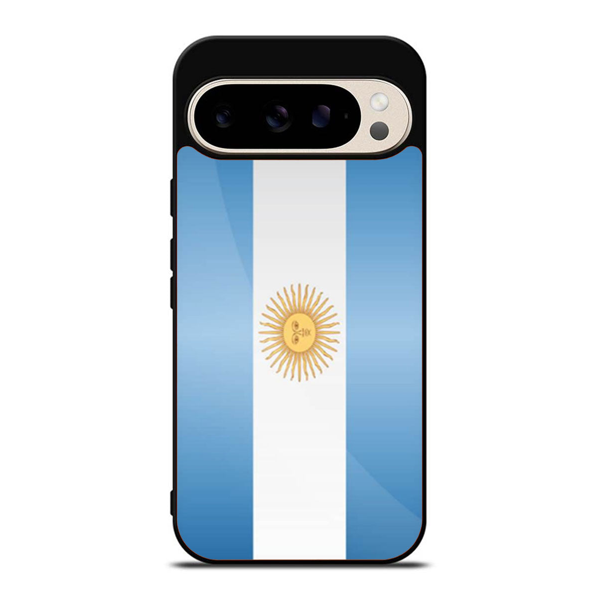 Argentina Flag Google Pixel 9 Pro Case