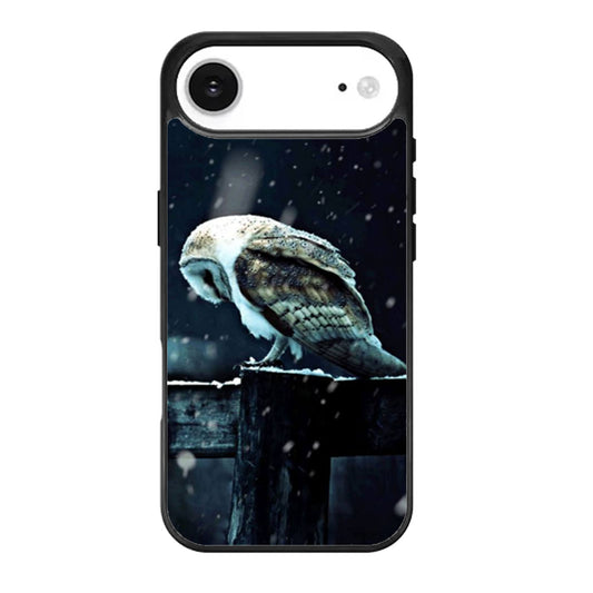 Barn Owl Tyto Alba in Snow iPhone Air Case