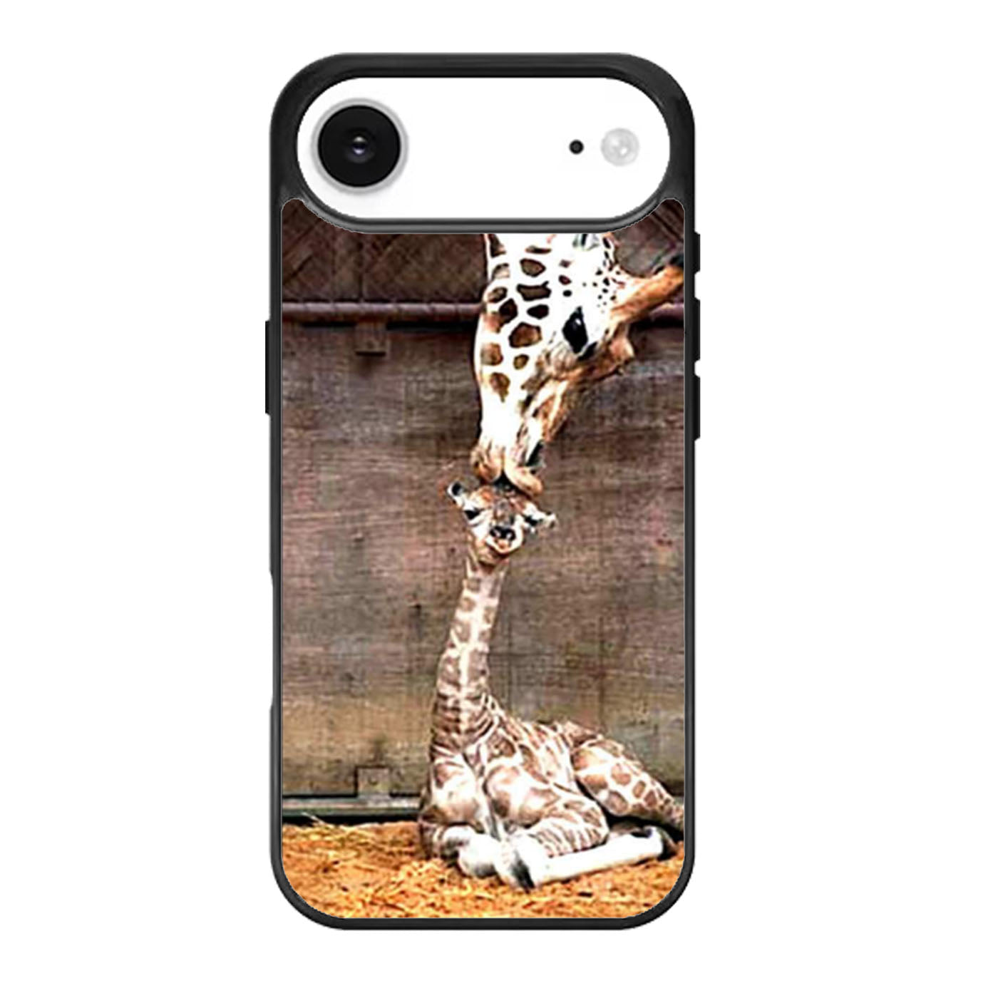 Cute Baby Giraffe Kiss iPhone Air Case