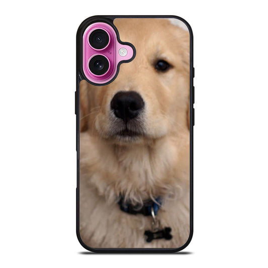 Cute Golden Retriever Dog iPhone Case Cover
