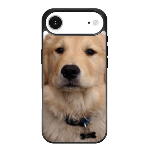 Cute Golden Retriever Dog iPhone Air Case