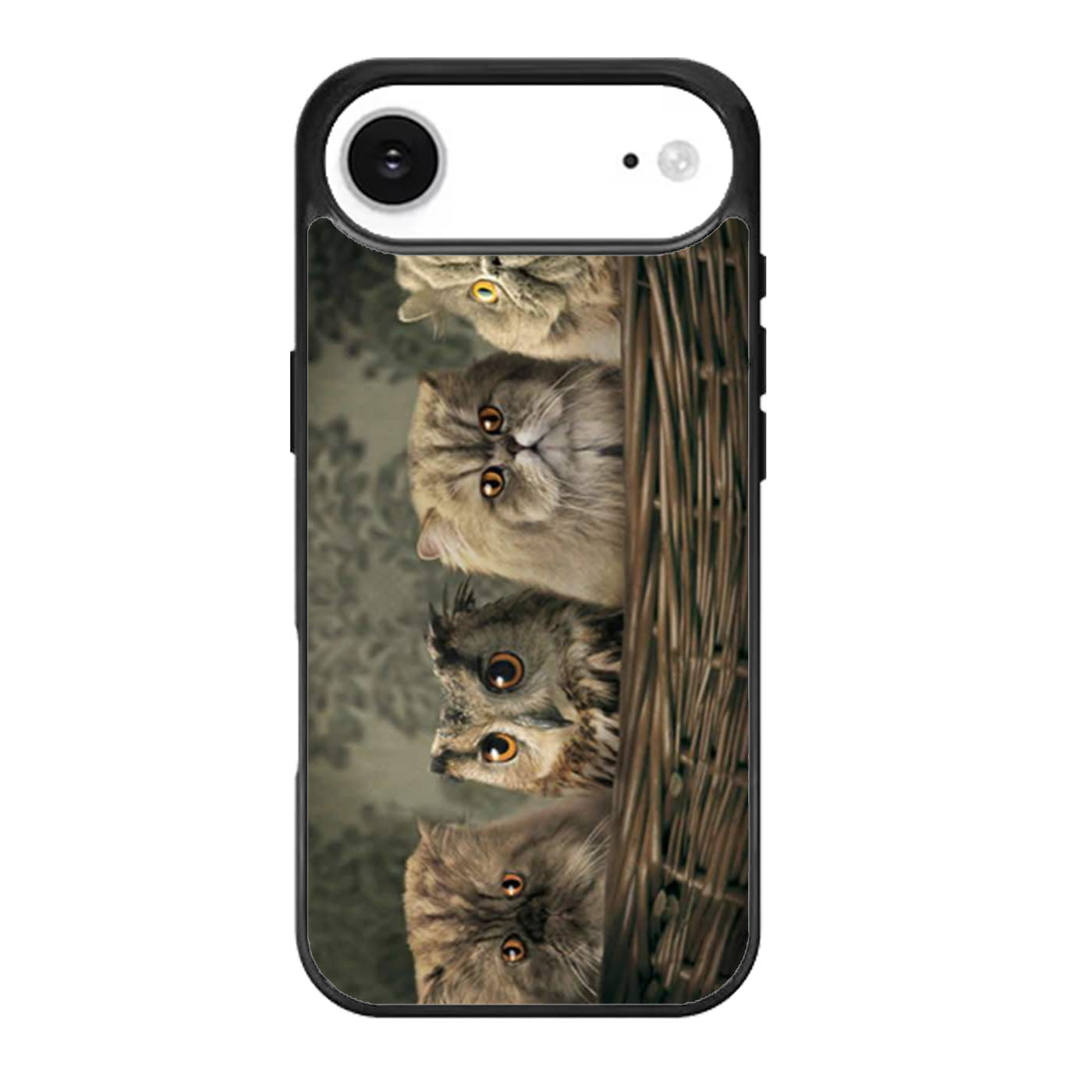 Funny Animal Cat or Owl iPhone Air Case