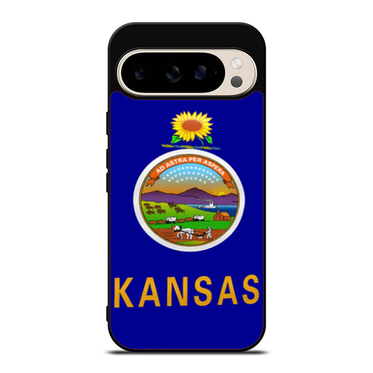 Kansas State Flag Google Pixel 9 Pro Case