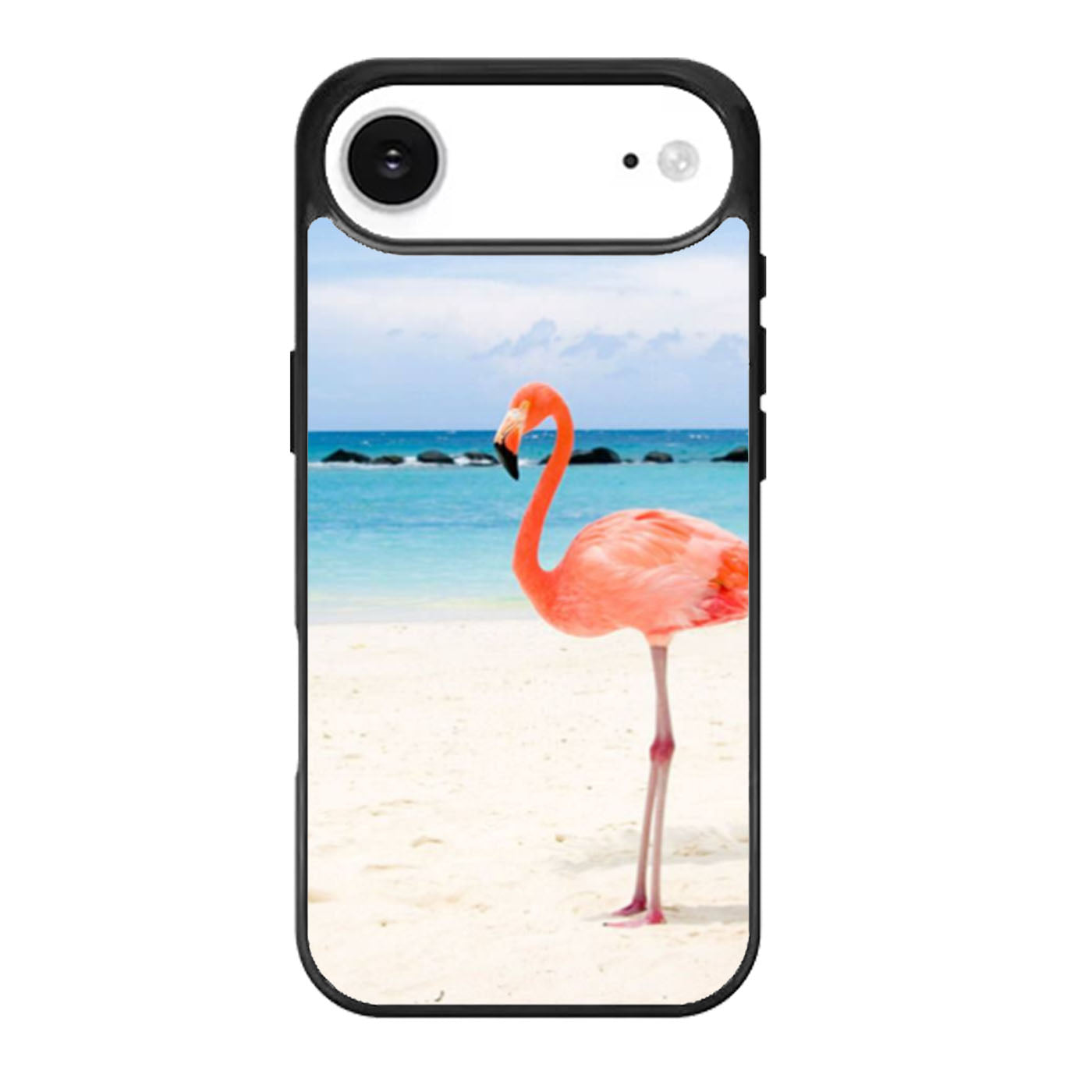 Pink Flamingo iPhone Air Case