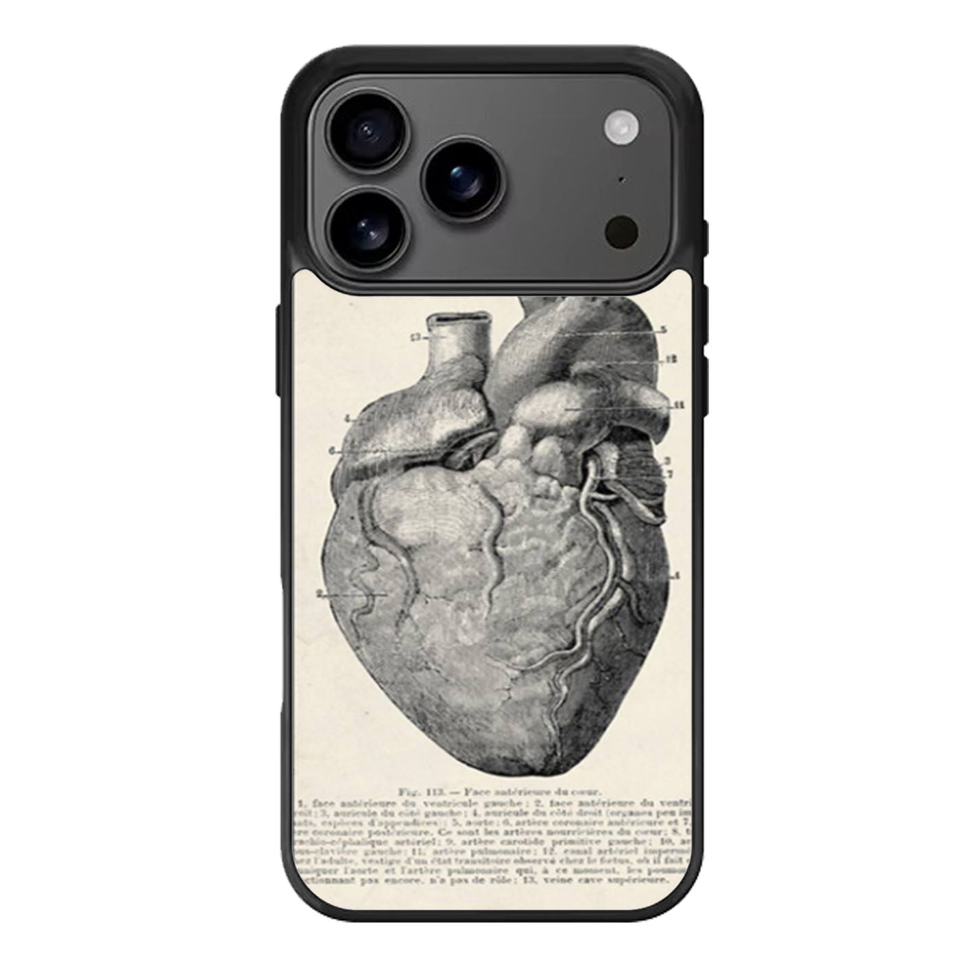 Vintage Medical Anatomical Heart Diagram iPhone 17 Pro Max Case