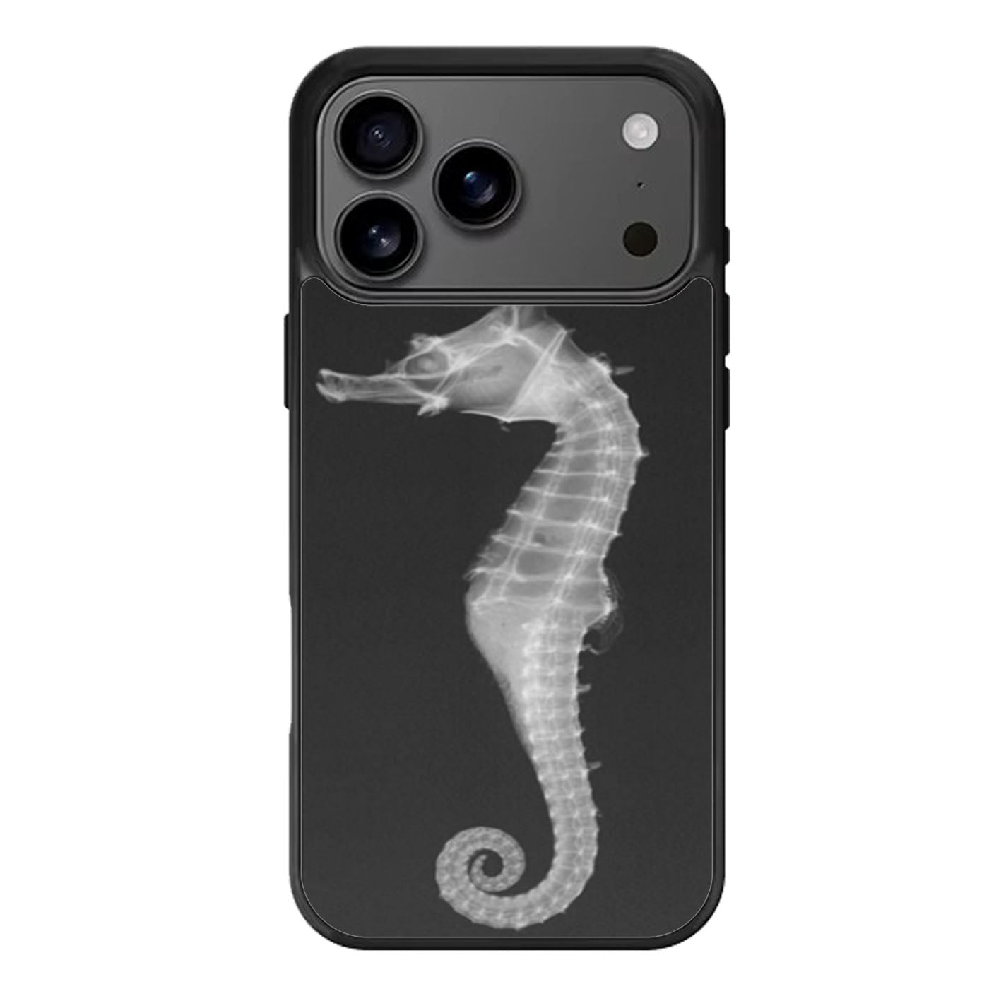 X Ray Seahorse iPhone 17 Pro Max Case