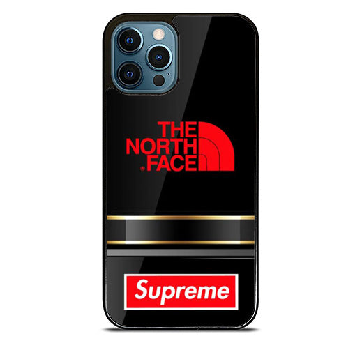 The North Face iPhone 14 Pro Max Case